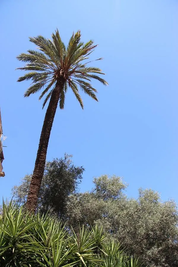 Corte Del Merlo Palermo Bed & Breakfast